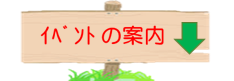 イベント